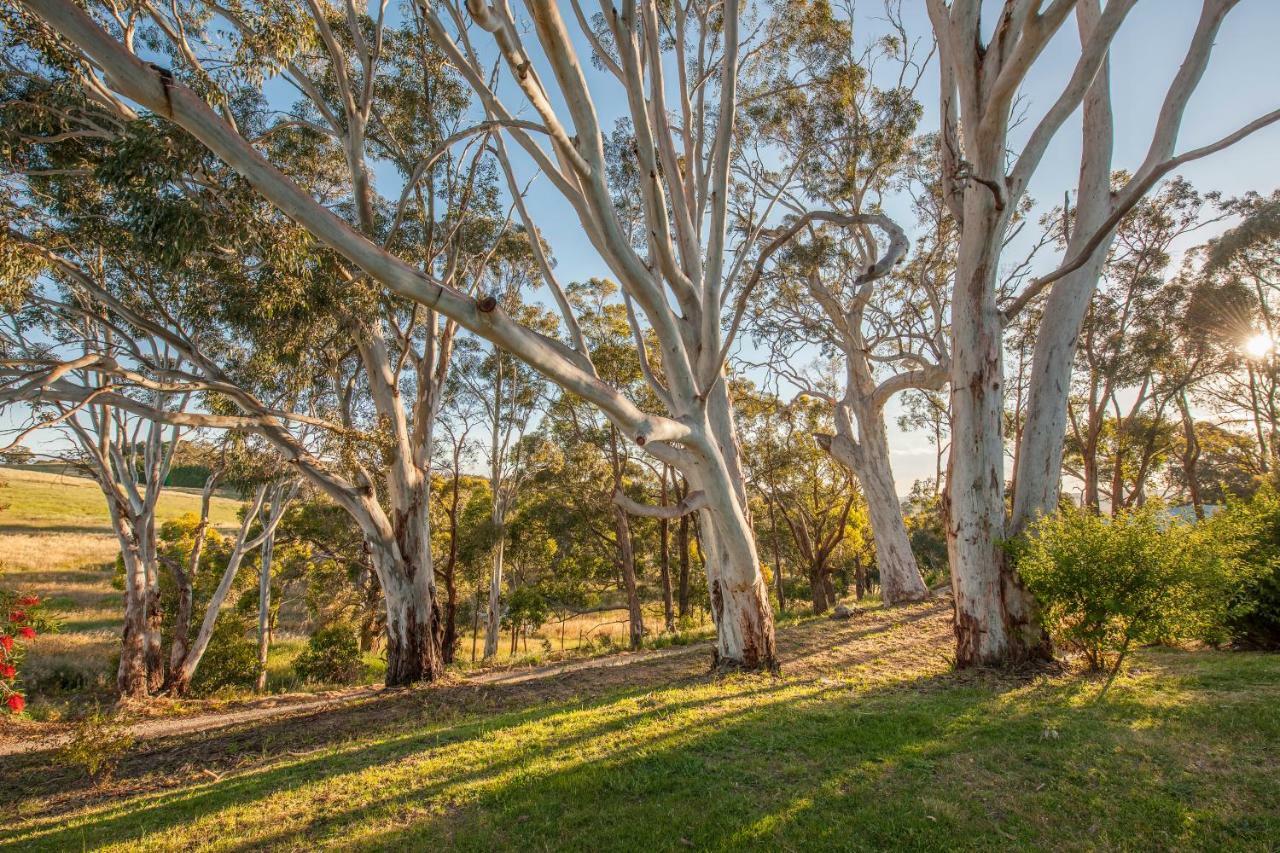 Discovery Parks - Hahndorf Eksteriør bilde